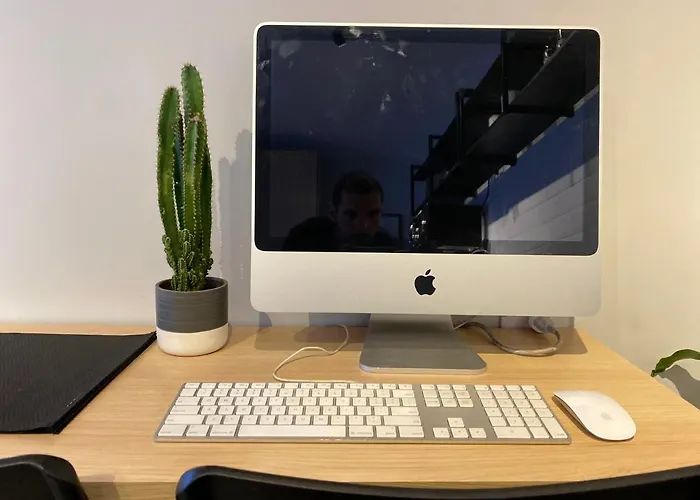 Novo Studio Garden